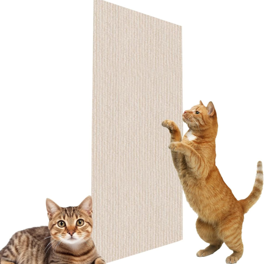 Cat Scratch Couch Guard: Save Your Sofa, Keep Your Cat Happy