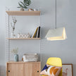 Flying Book Pendant Light