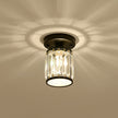 Crystal Foyer Ceiling Light