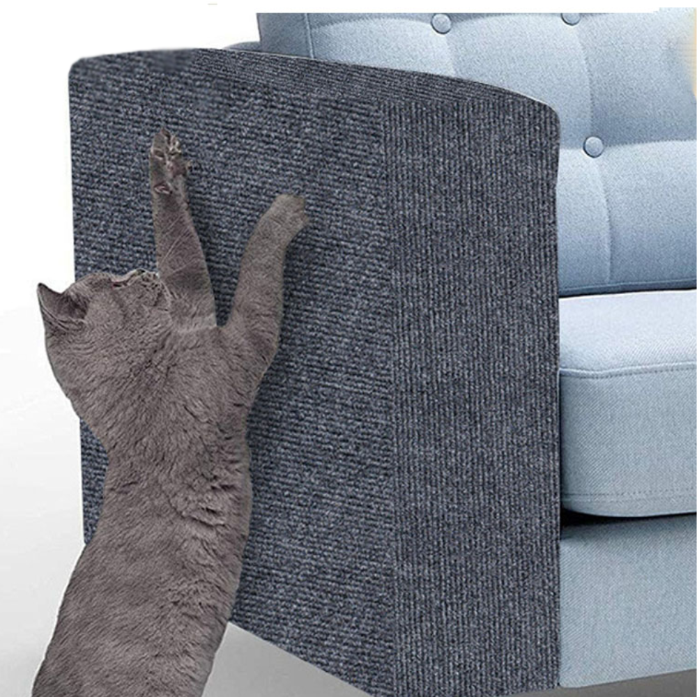 Cat Scratch Couch Guard: Save Your Sofa, Keep Your Cat Happy