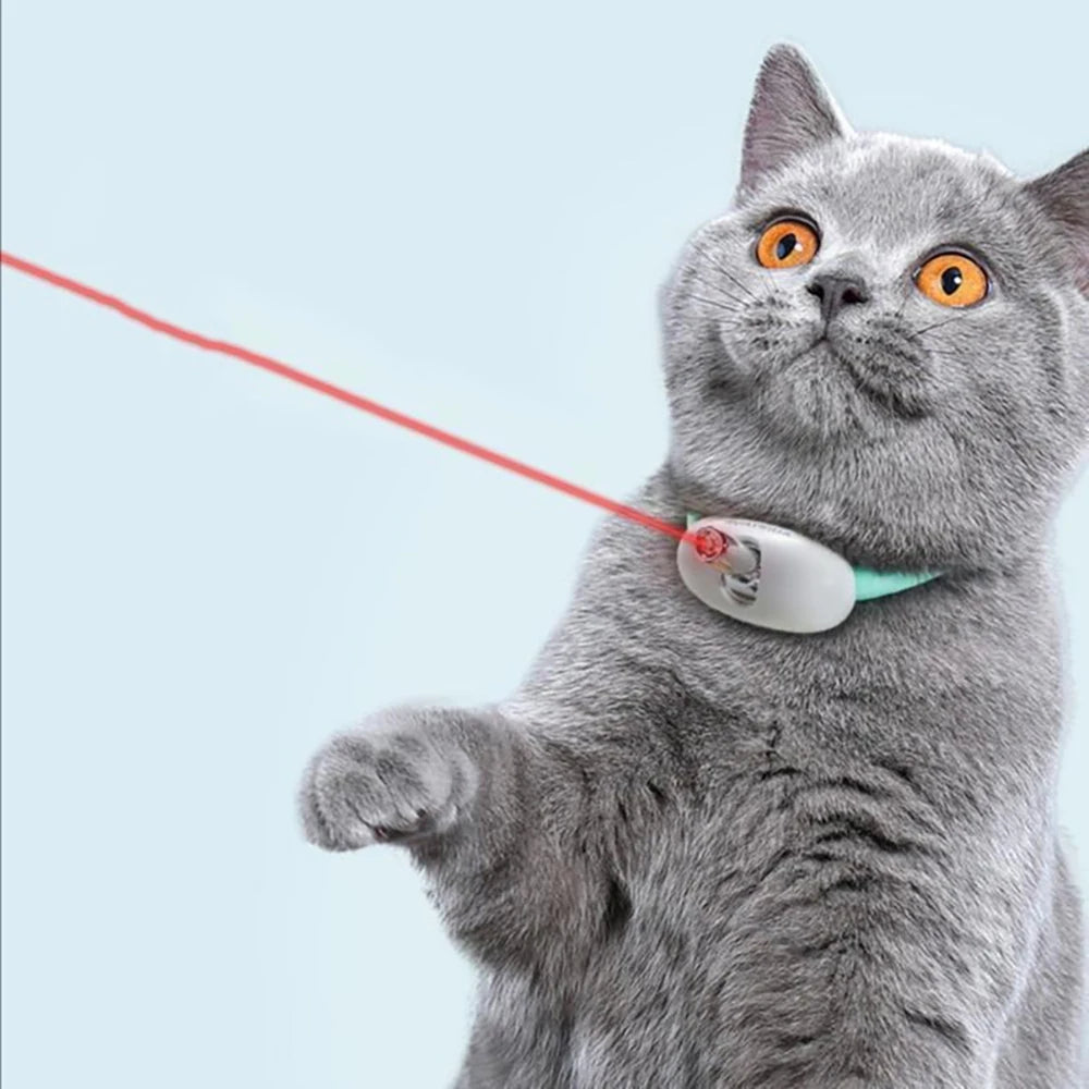 Laser Cat Collar with USB Charging: Active Play, Built In