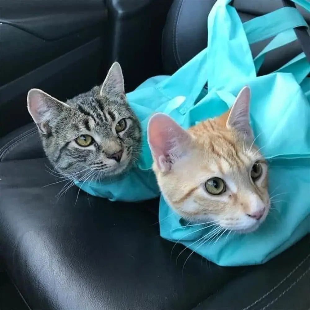 Travel Cat Carrier Pouch: Comfortable, Scratch-Resistant Transport