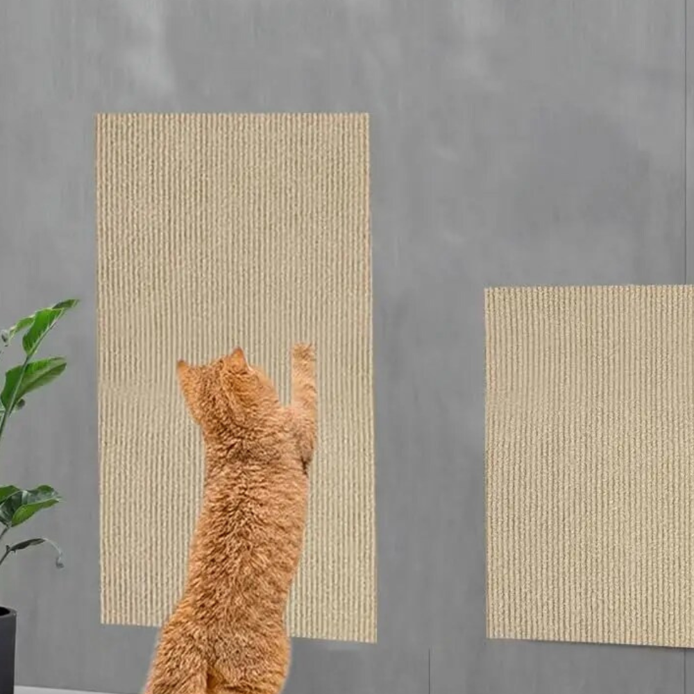 Cat Scratch Couch Guard: Save Your Sofa, Keep Your Cat Happy