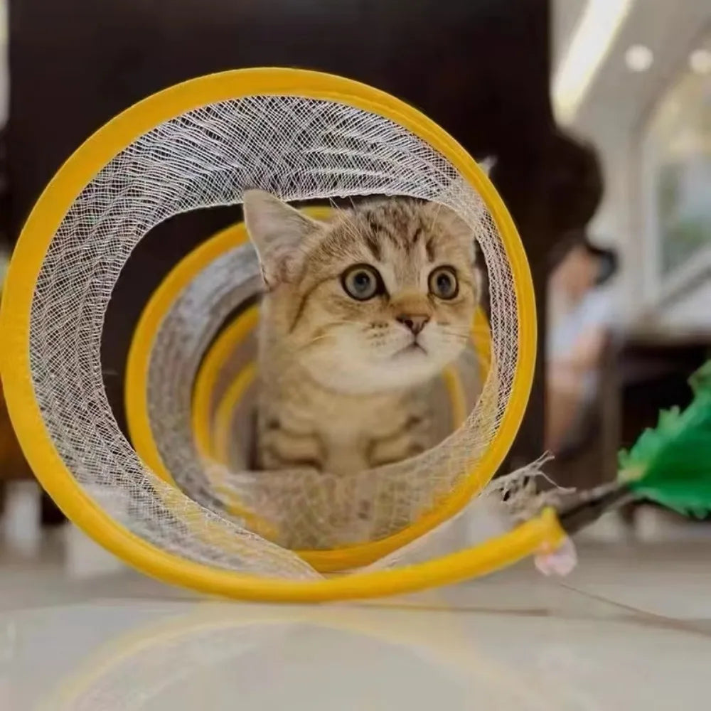 Collapsible Cat Tunnel: Fuel Your Cat's Natural Curiosity