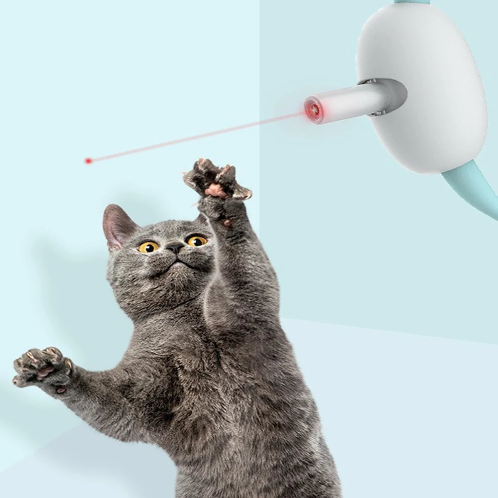 Laser Cat Collar with USB Charging: Active Play, Built In