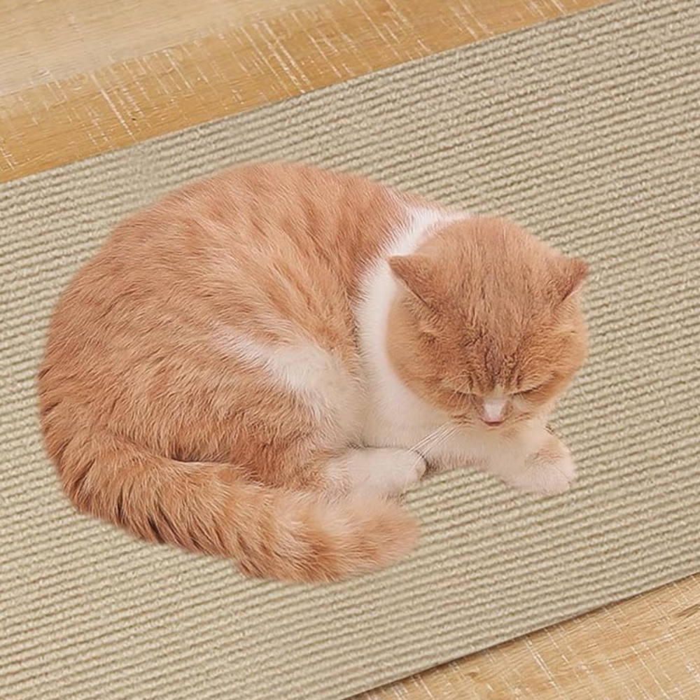 Cat Scratch Couch Guard: Save Your Sofa, Keep Your Cat Happy