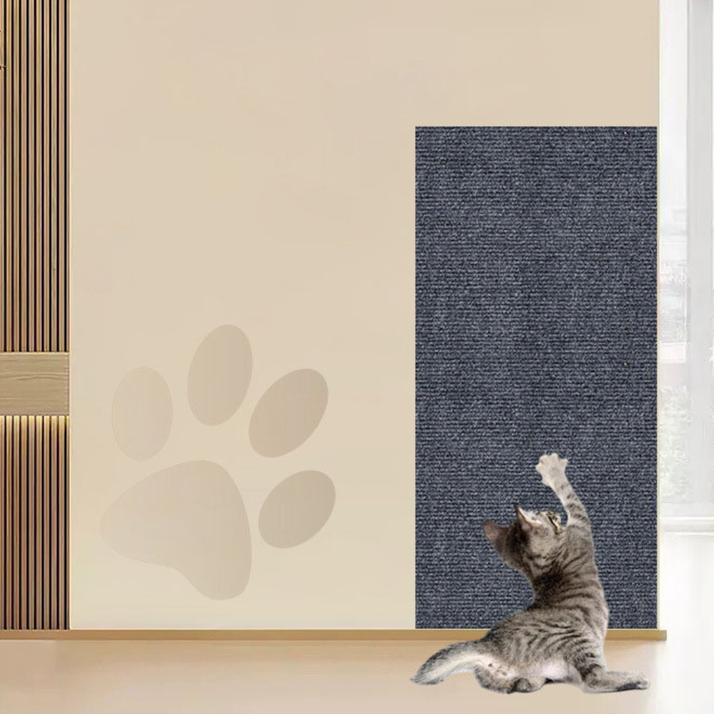 Cat Scratch Couch Guard: Save Your Sofa, Keep Your Cat Happy