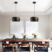 Modern Scandinavian Pendant Light