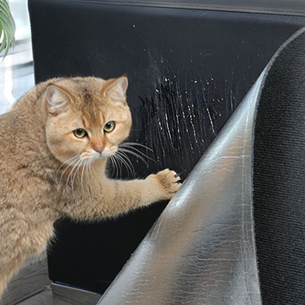 Cat Scratch Couch Guard: Save Your Sofa, Keep Your Cat Happy