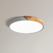 LED Ceiling Light