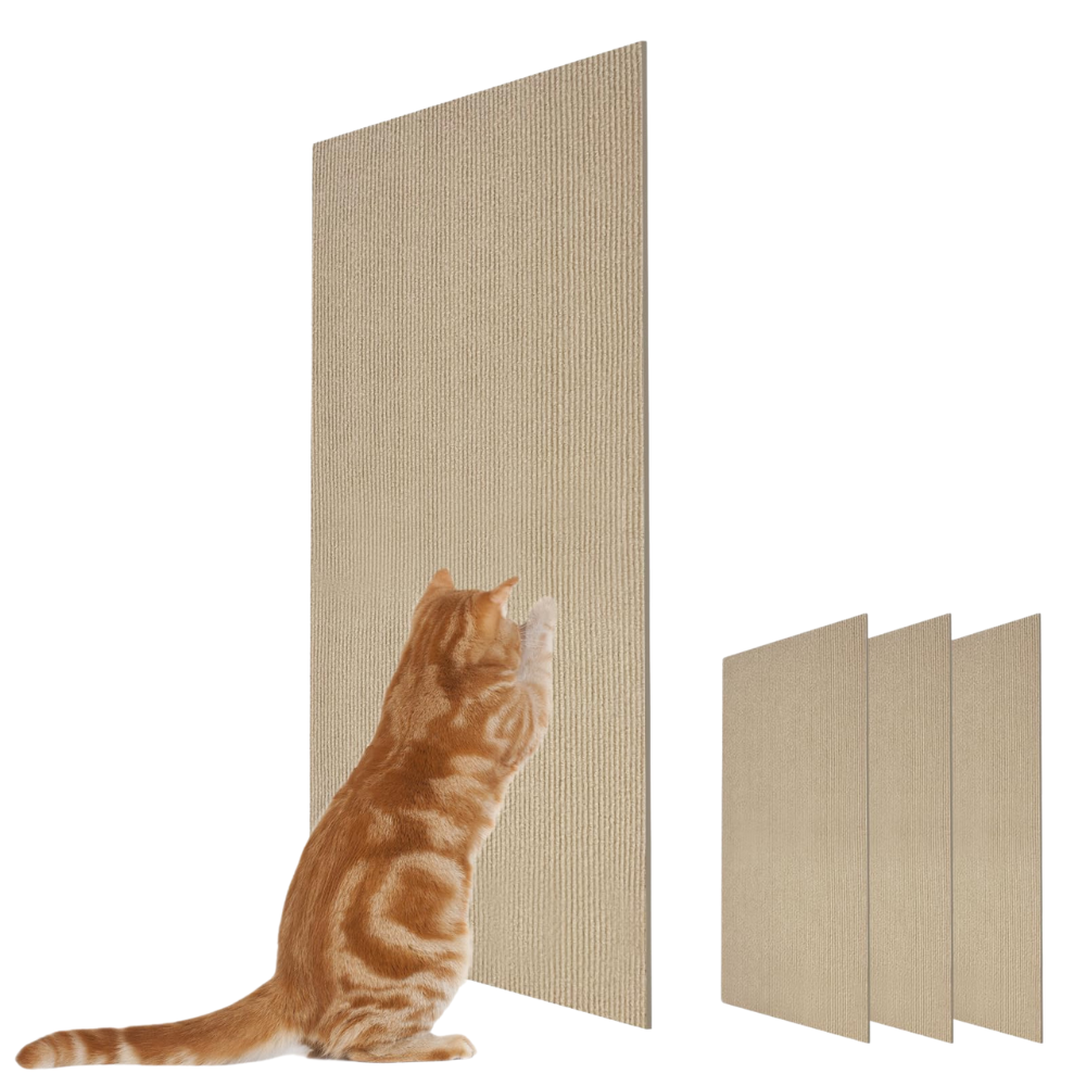 Cat Scratch Couch Guard: Save Your Sofa, Keep Your Cat Happy