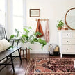 Maeve Wall Rack