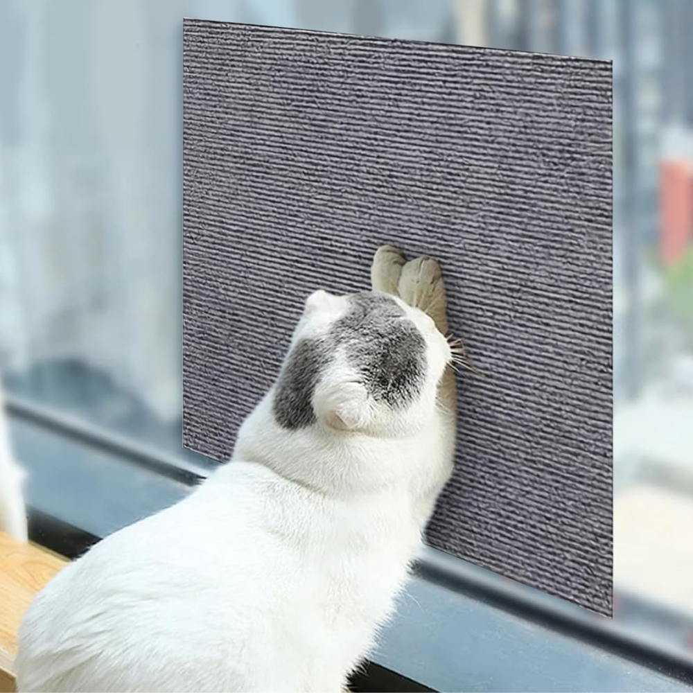 Cat Scratch Couch Guard: Save Your Sofa, Keep Your Cat Happy