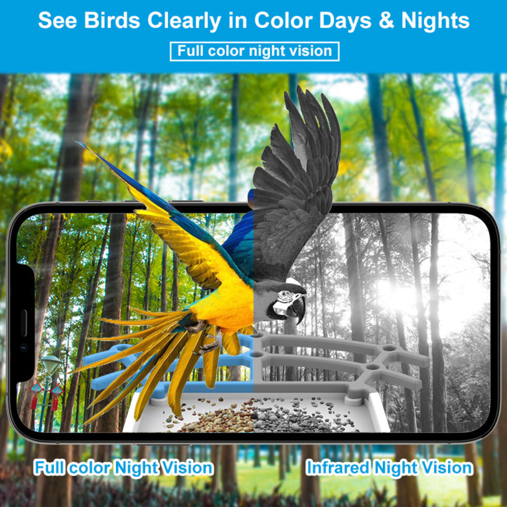 Solar Bird Feeder Camera