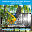 Solar Bird Feeder Camera