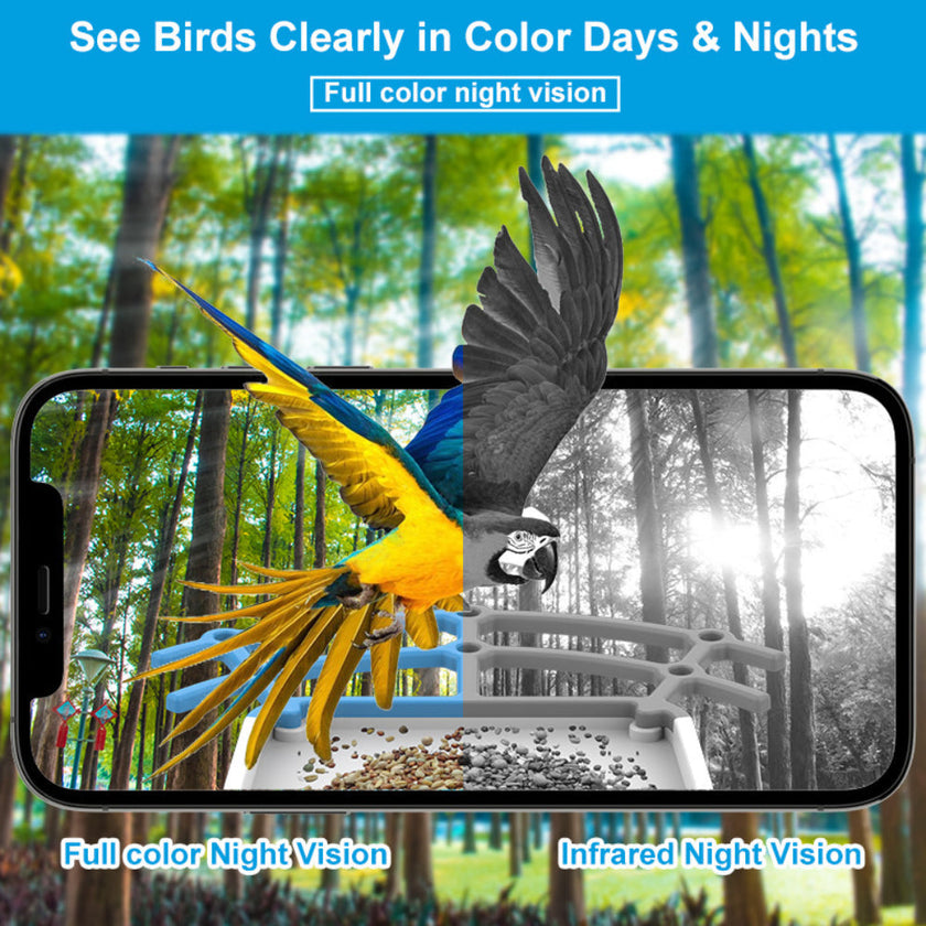 Solar Bird Feeder Camera