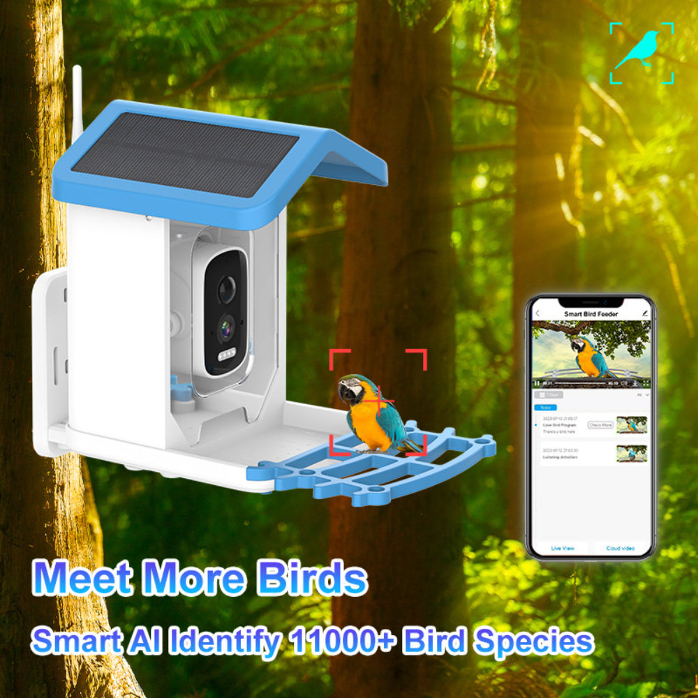 Solar Bird Feeder Camera