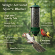 Squirrel-Proof Metal Bird Feeder