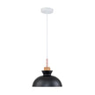 Modern Single Pendant Dome Light