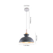 Modern Single Pendant Dome Light