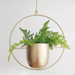FloraFrame Hanging Planter