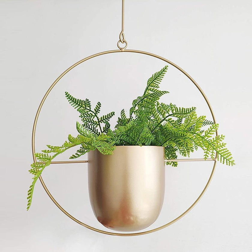 FloraFrame Hanging Planter