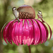 Metal Garden Hanging Bird Feeder