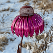 Metal Garden Hanging Bird Feeder