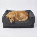 Orthopedic Car Dog Bed: No More Sliding on the Back Seat