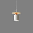 Pendant Light