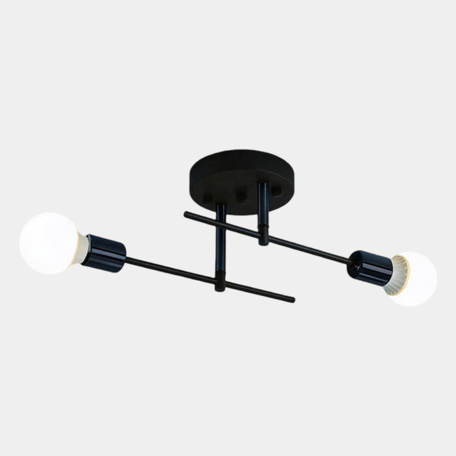 Modern 2-Light Ceiling Lamp