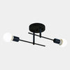 Modern 2-Light Ceiling Lamp