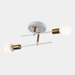 Modern 2-Light Ceiling Lamp