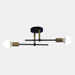 Modern 2-Light Ceiling Lamp