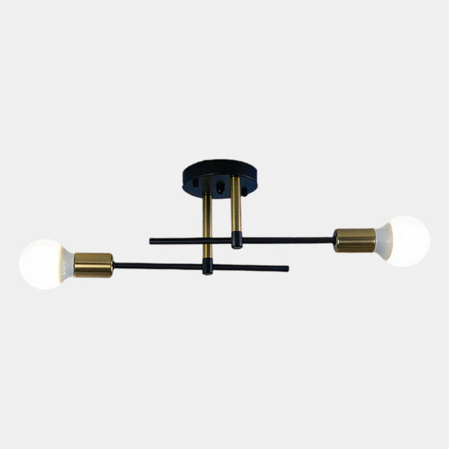 Modern 2-Light Ceiling Lamp