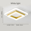 Square LED Ceiling Light