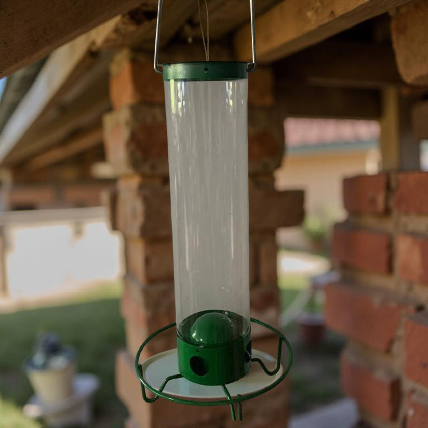Squirrel-Proof Metal Bird Feeder