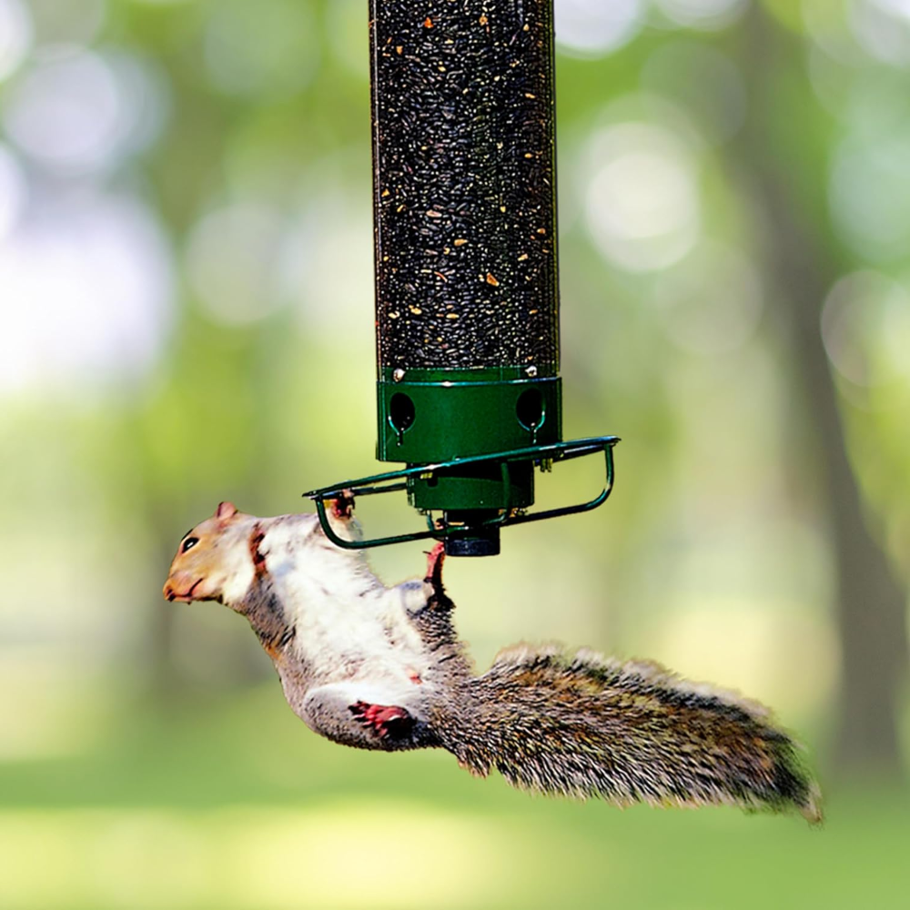 Squirrel-Proof Metal Bird Feeder