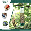 Squirrel-Proof Metal Bird Feeder