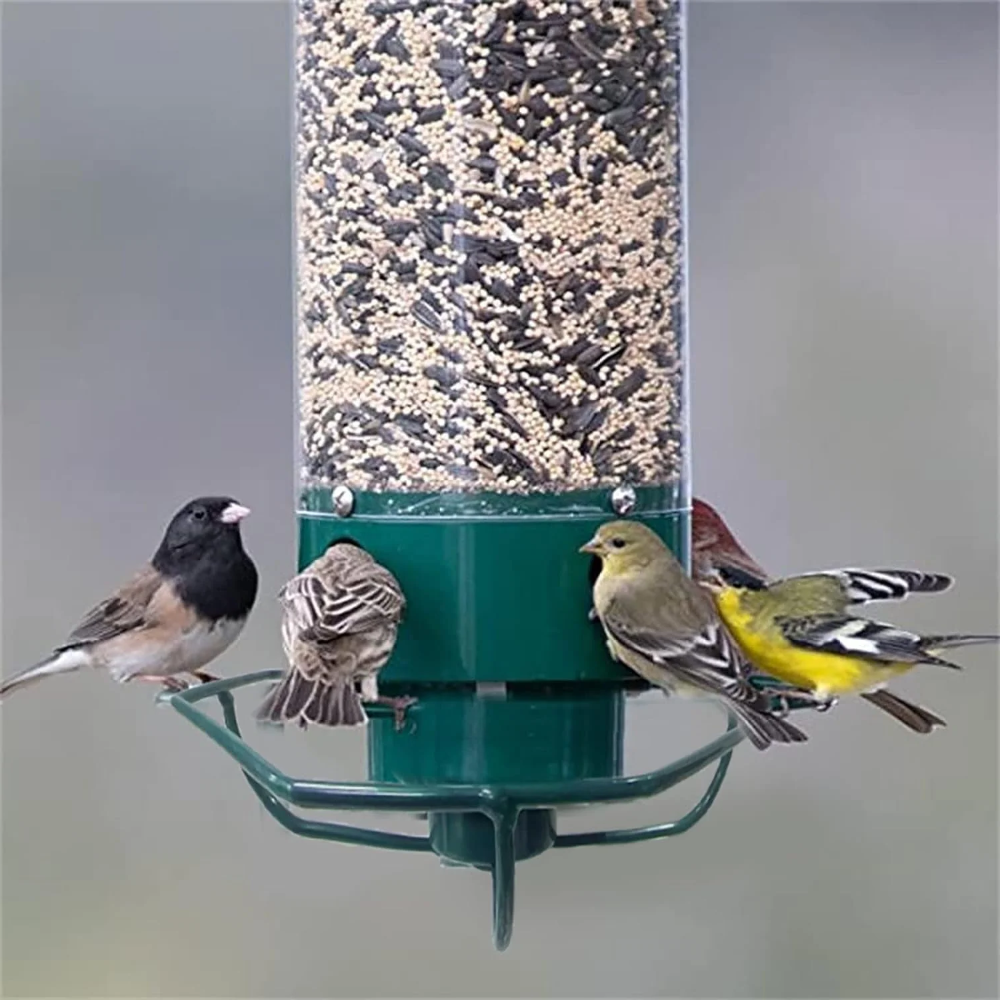 Squirrel-Proof Metal Bird Feeder