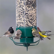 Squirrel-Proof Metal Bird Feeder
