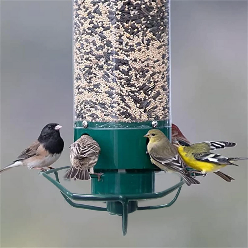 Squirrel-Proof Metal Bird Feeder