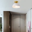 Modern Semi-Flush Ceiling Lamp