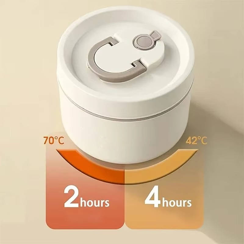 Stainless Steel Insulated Lunch Box Set: Keep Meals Fresh