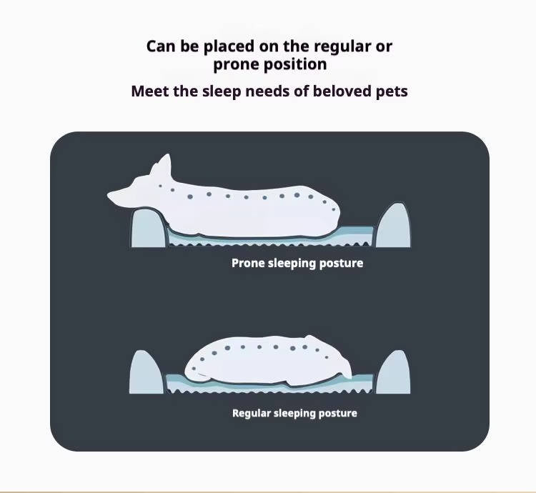 Orthopedic Car Dog Bed: No More Sliding on the Back Seat