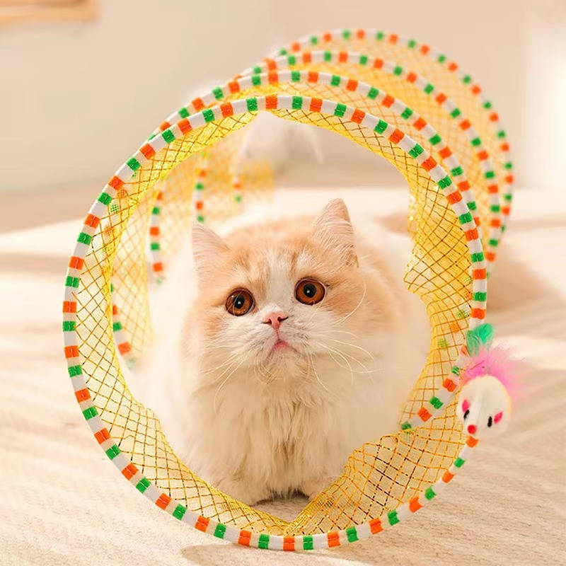 Cat Hunting Toys: Burn Energy, Save Your Furniture
