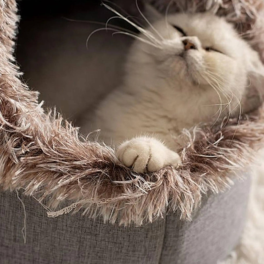 Winter Cat Bed: No More Shivering in the Corner