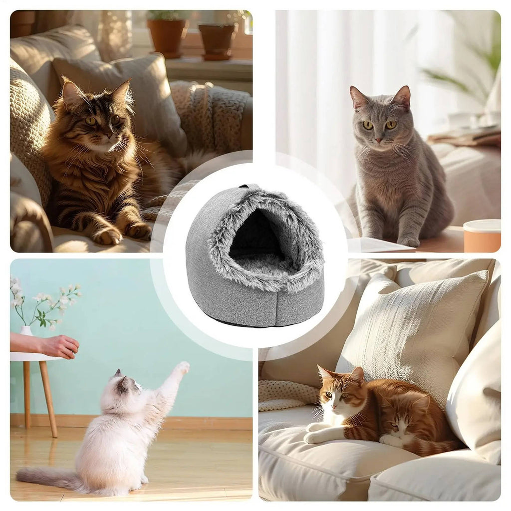 Winter Cat Bed: No More Shivering in the Corner