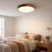 LED Ceiling Light