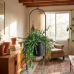 FloraFrame Hanging Planter